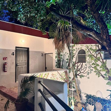 Hotel Ha Garden Gallery - 5Th Avenue Playa del Carmen Exterior photo