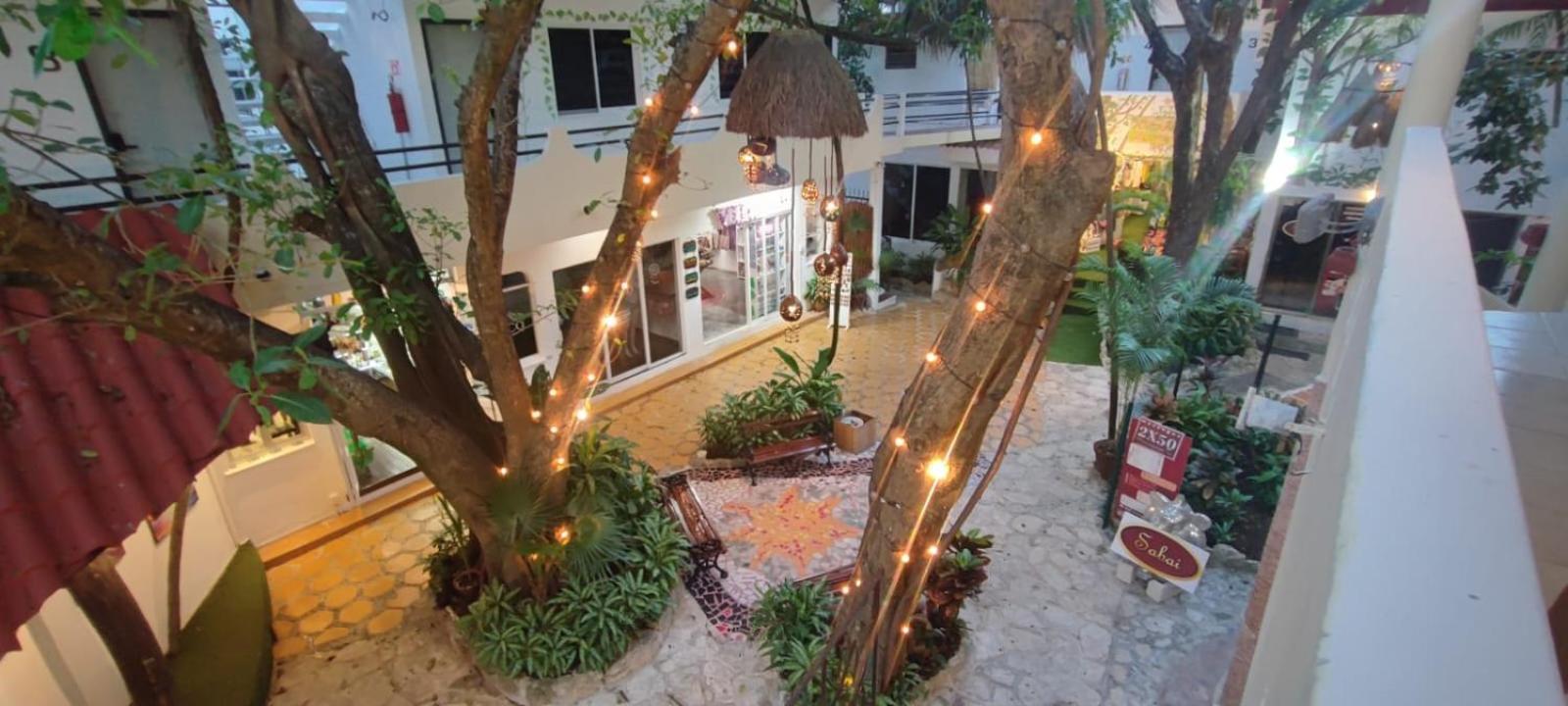 Hotel Ha Garden Gallery - 5Th Avenue Playa del Carmen Exterior photo