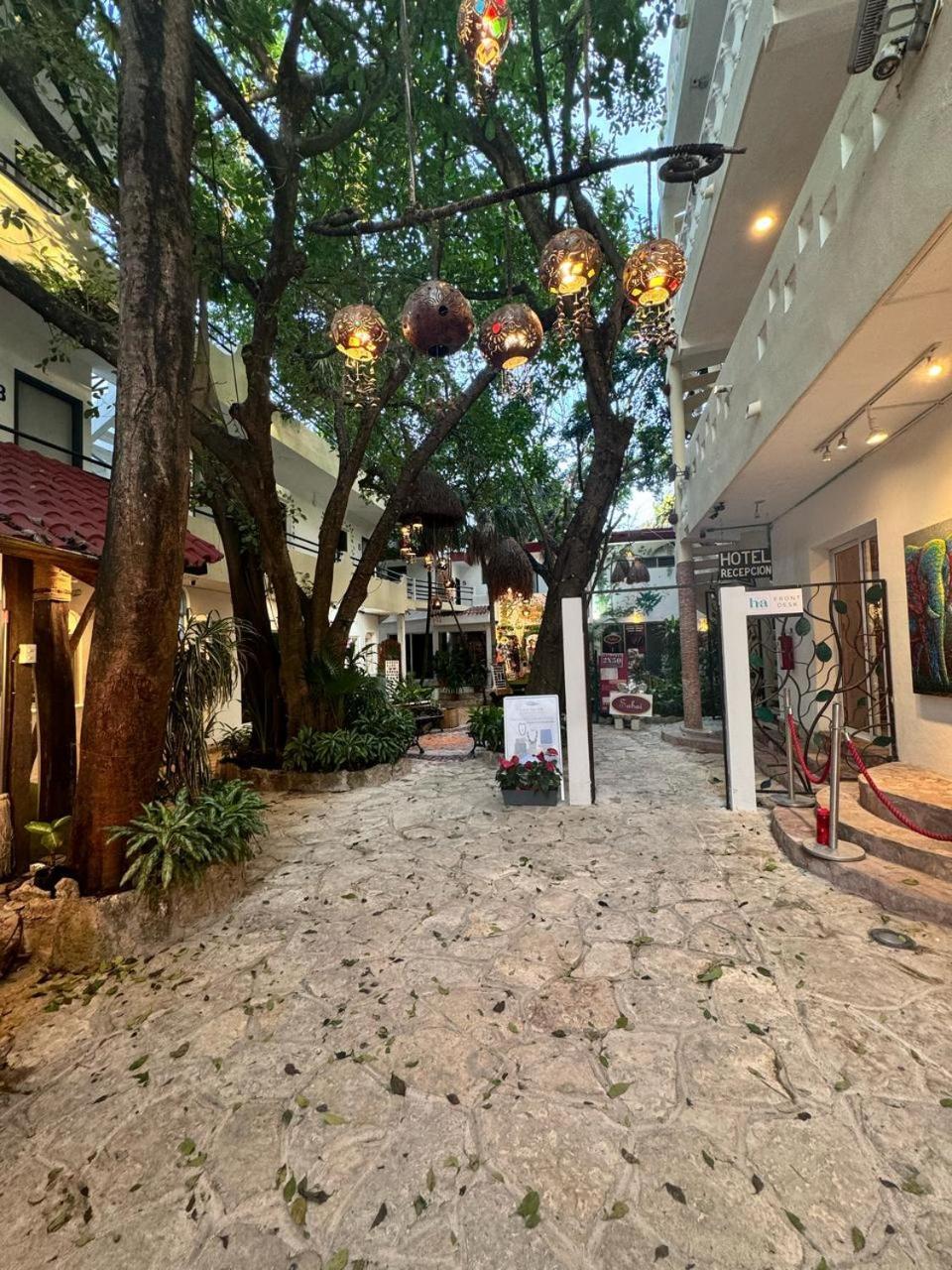 Hotel Ha Garden Gallery - 5Th Avenue Playa del Carmen Exterior photo