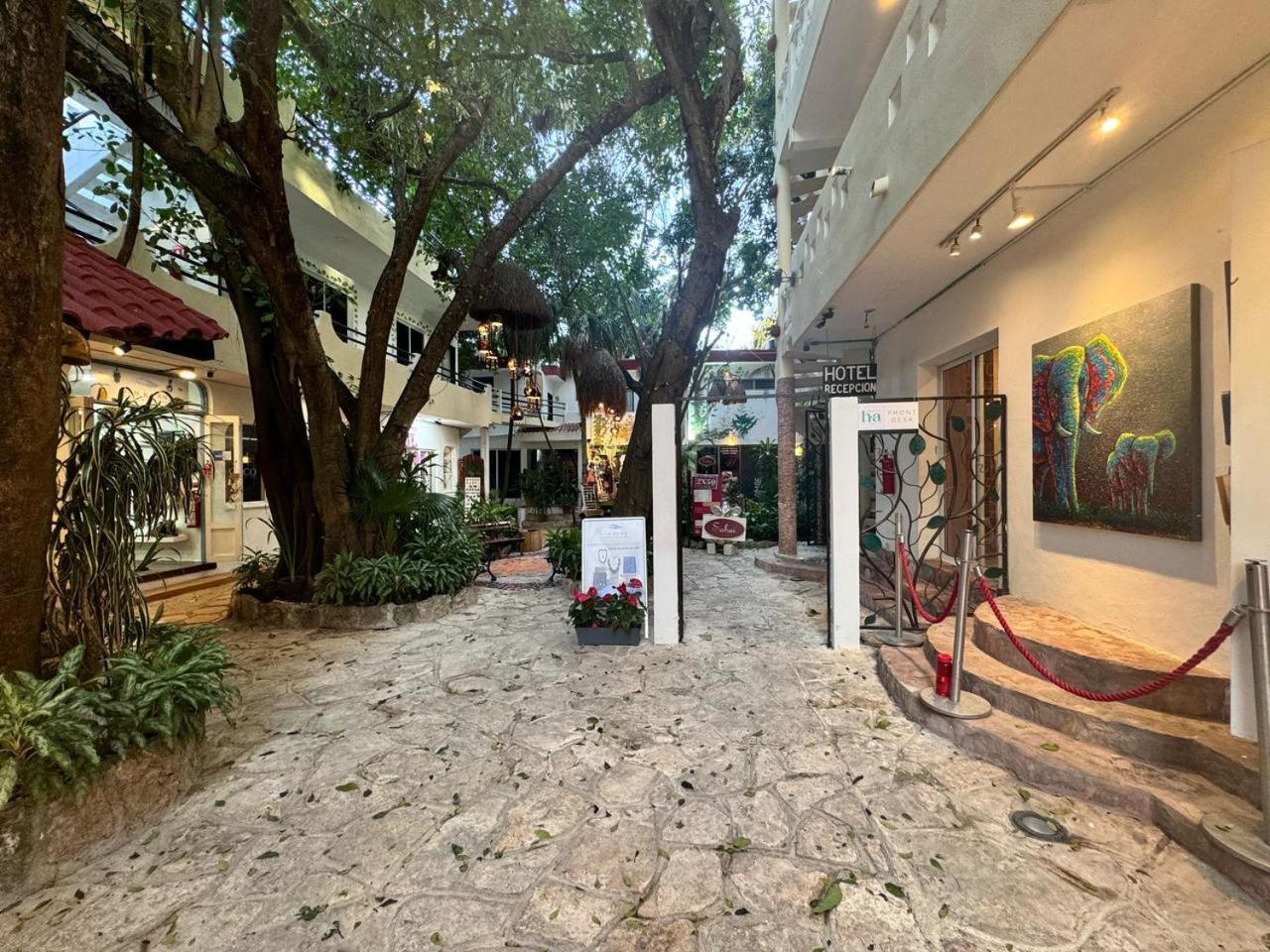Hotel Ha Garden Gallery - 5Th Avenue Playa del Carmen Exterior photo