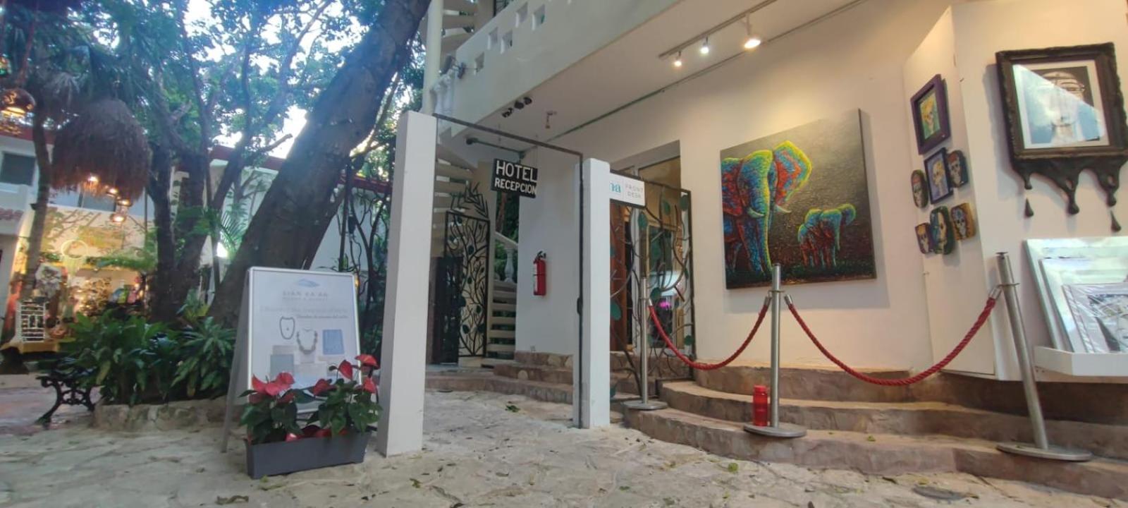 Hotel Ha Garden Gallery - 5Th Avenue Playa del Carmen Exterior photo